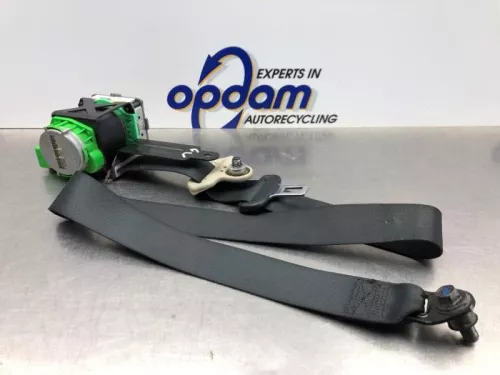 Veiligheidsgordel links-voor-8174412