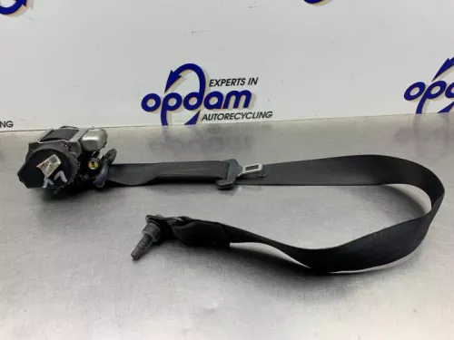 Veiligheidsgordel links-voor-8225158