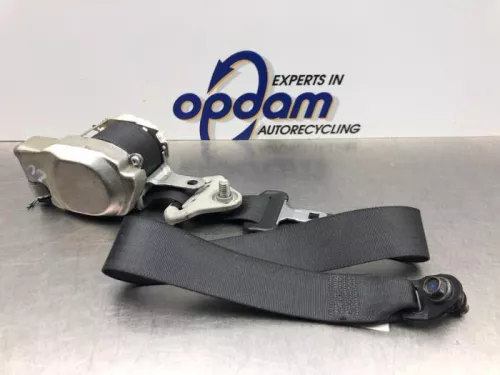 Veiligheidsgordel links-voor-8151041