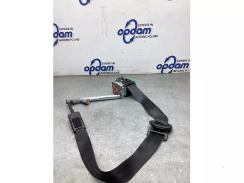 Veiligheidsgordel links-voor-7981173