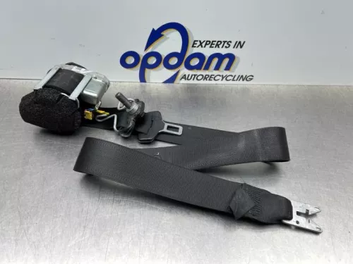 Veiligheidsgordel links-voor-8167482