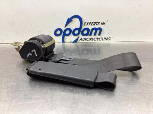 Veiligheidsgordel links-voor-8122783