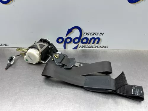 Veiligheidsgordel links-voor-8296218