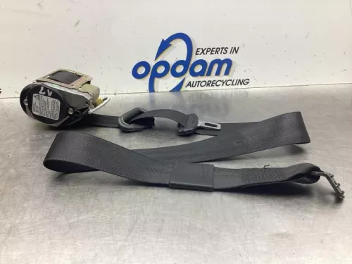 Veiligheidsgordel links-voor-8074332