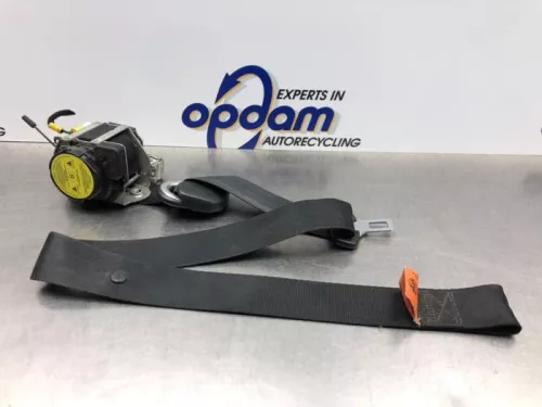 Veiligheidsgordel links-voor-8199795