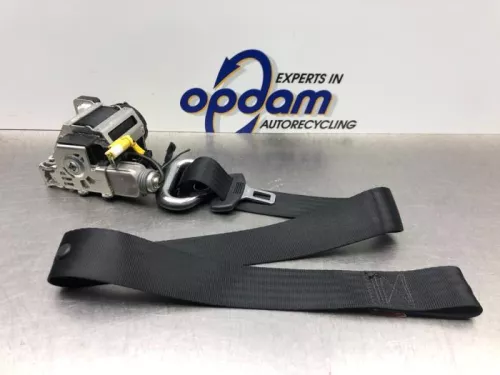 Veiligheidsgordel links-voor-8242837