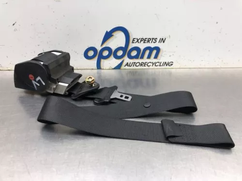 Veiligheidsgordel links-voor-8165397