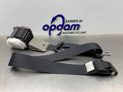 Veiligheidsgordel links-voor-8273425