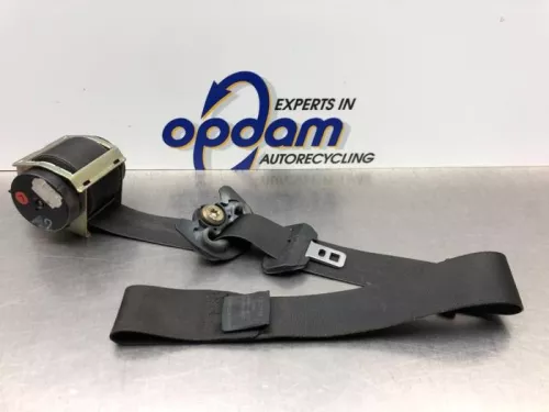 Veiligheidsgordel links-voor-8197331