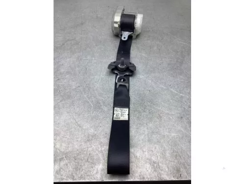 Veiligheidsgordel links-voor-8048386