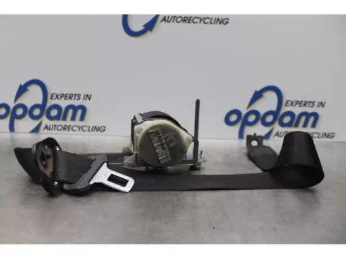 Veiligheidsgordel links-voor-7877689