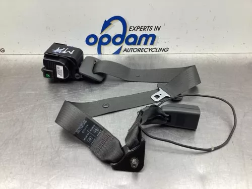 Veiligheidsgordel midden-achter-8035505