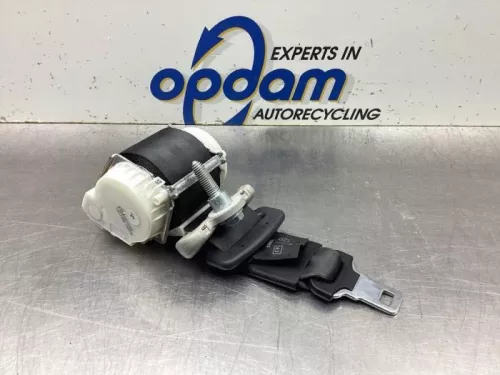 Veiligheidsgordel midden-achter-8092634