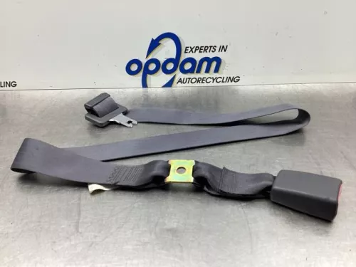 Veiligheidsgordel midden-achter-7873466