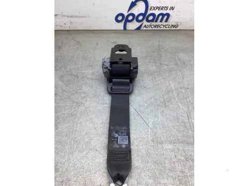 Veiligheidsgordel rechts-achter-8203678