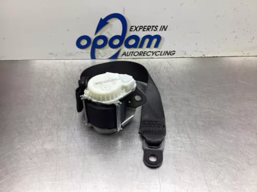 Veiligheidsgordel rechts-achter-8091756