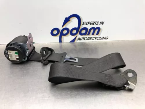 Veiligheidsgordel rechts-achter-8207878