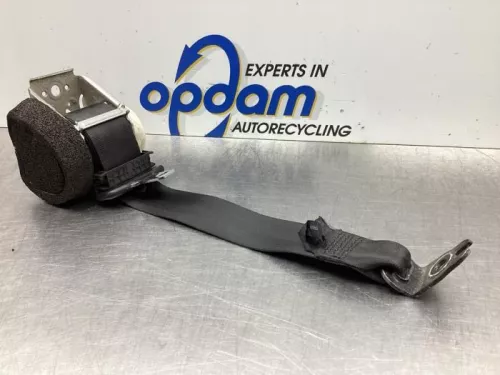 Veiligheidsgordel rechts-achter-7856232