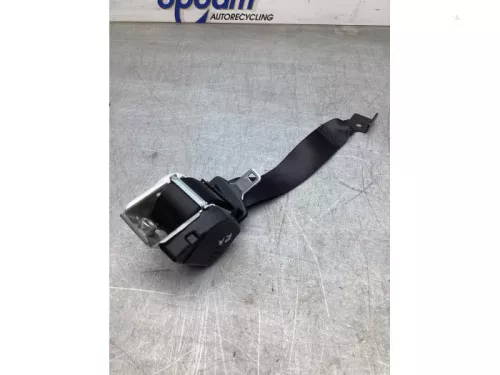 Veiligheidsgordel rechts-achter-8195037