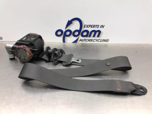 Veiligheidsgordel rechts-voor-8206281