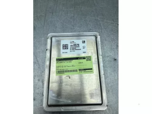 Computer Motormanagement-8331091