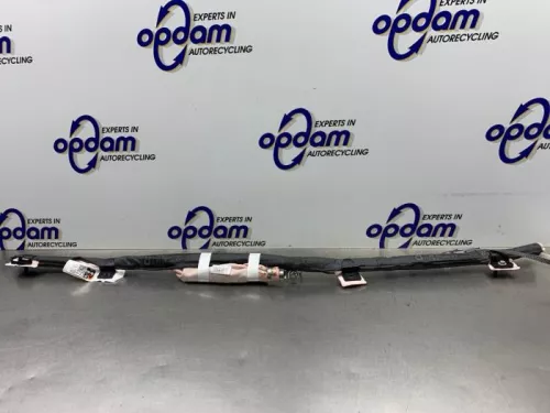 Airbag hemel rechts-8338522