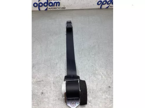 Veiligheidsgordel links-achter-8295328