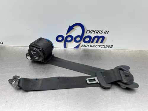 Veiligheidsgordel links-achter-8269945