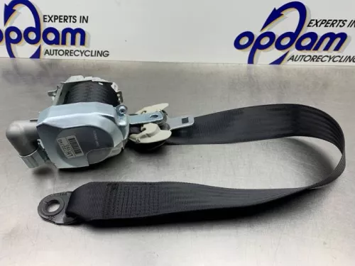 Gordelspanner links-