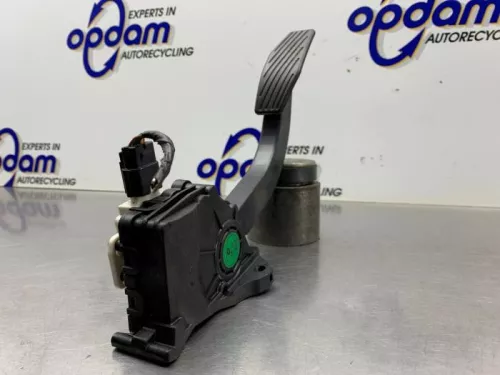 Gaspedaal-8347940