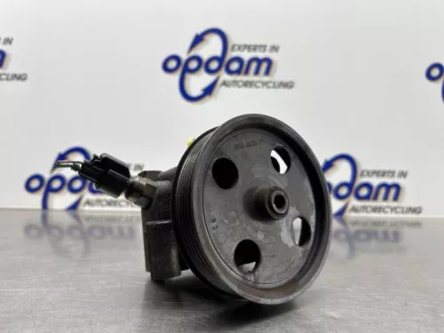 Stuurbekrachtiging Pomp-8338365