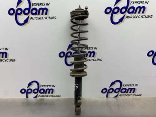 Schokdemperpoot links-achter-8346318