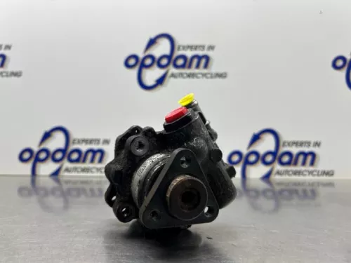 Stuurbekrachtiging Pomp-8210764