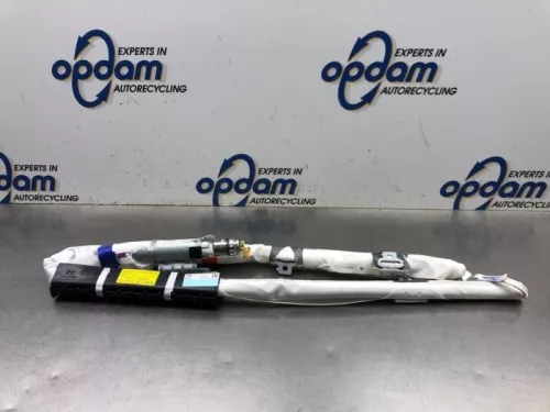 Airbag hemel links-8091819