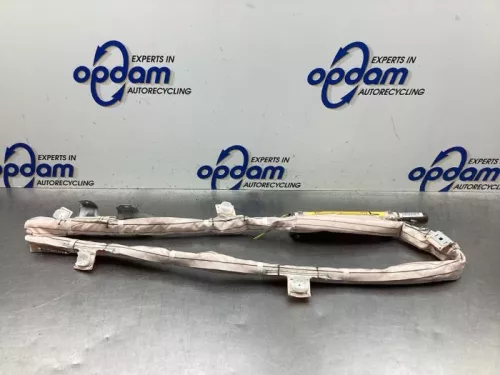 Airbag hemel links-8066128