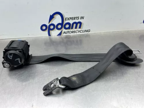 Veiligheidsgordel links-achter-8353482