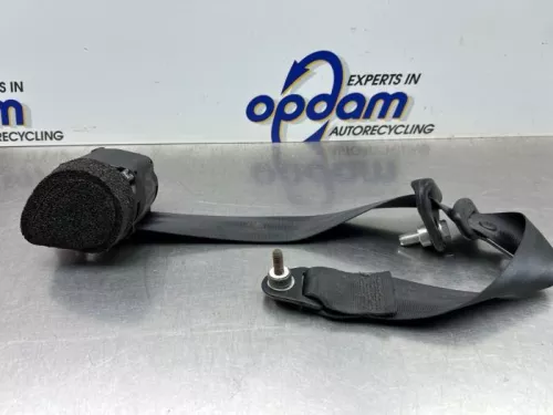 Veiligheidsgordel links-achter-8235797