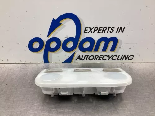 Binnenverlichting achter-8010216