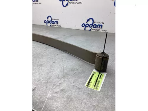 Bladveer achter-8257224