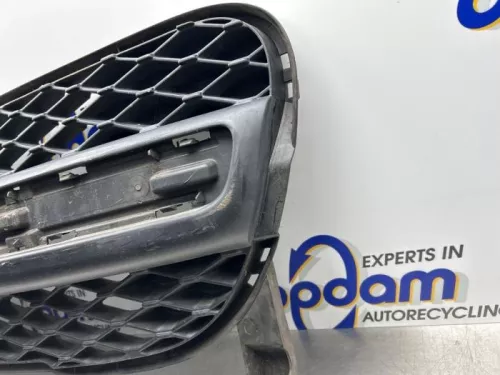 Bumper Rooster-8376777