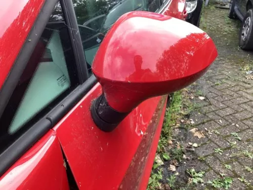 Buitenspiegel links-8181957