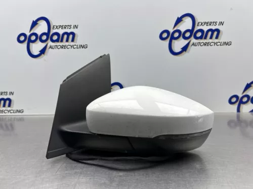 Buitenspiegel links-8158942