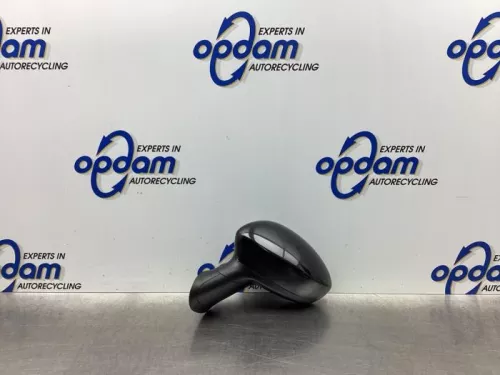 Buitenspiegel links-7921482