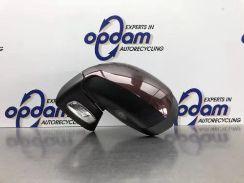 Buitenspiegel links-8181607