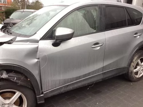 Portier 4Deurs links-voor-8434591