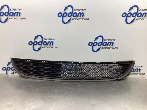 Bumper Rooster-8080470