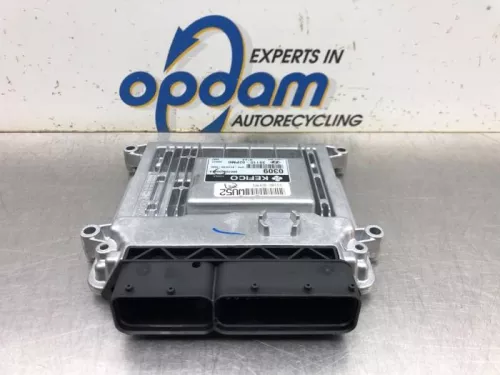 Computer Motormanagement-8128126