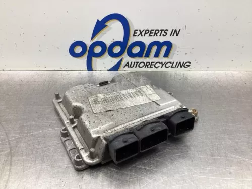 Computer Motormanagement-8079022