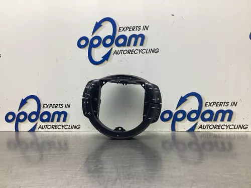 Cruise Control Bediening-8048634