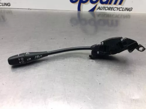 Cruise Control Bediening-8203393